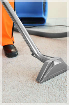 professional carpet cleaning